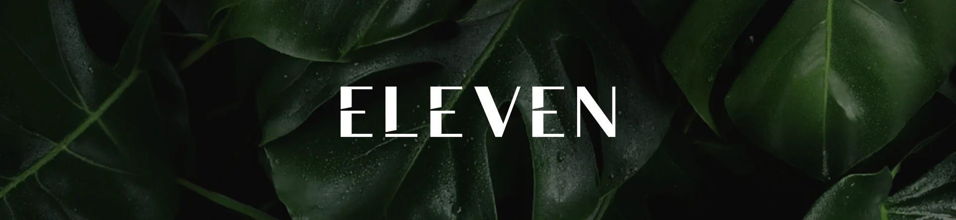 Eleven